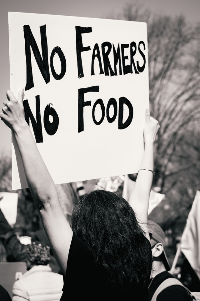 gayatri malhotra No Farmers No Food unsplash
