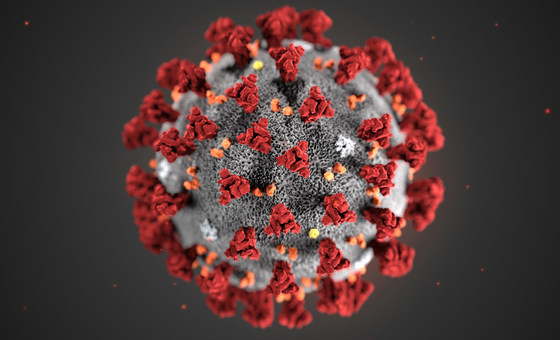 COVID-19 Virus