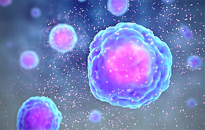 20 Cytokines wikiped Cytokine release 300