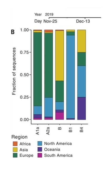 31 Clades Introductions and early spread of SARS in NYC 500