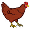 Huhn coloured
