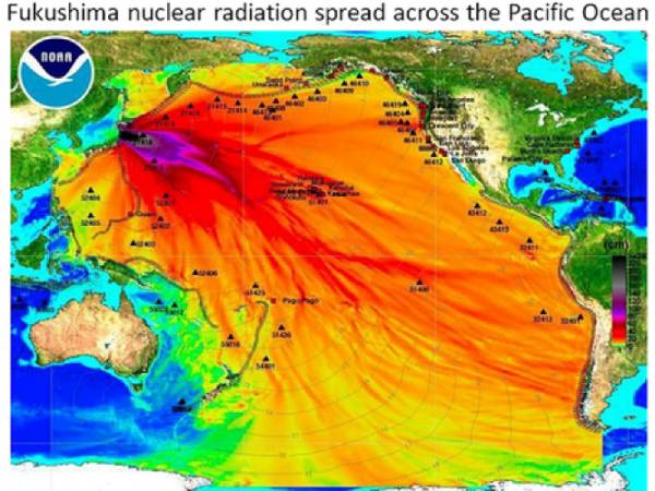 Fukushima Radiation Fallout Map