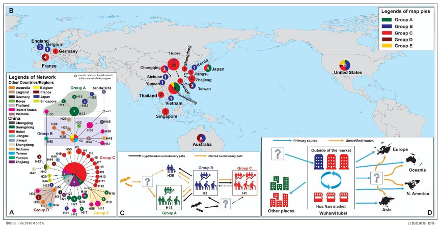 Map Haplotypes