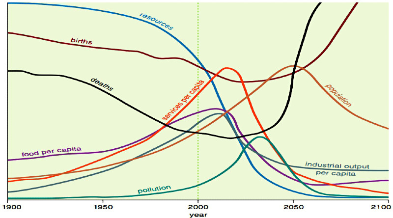 limits to growth wide chart