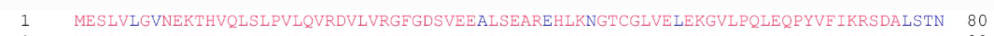 GeneticMaterialMakesProteins