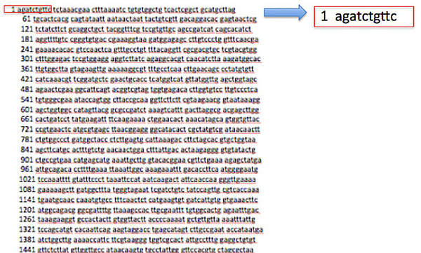 Viral mutation in genome sequence