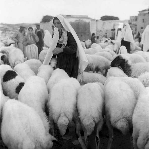 Yildiz Moran Turkey Tatvan 1956