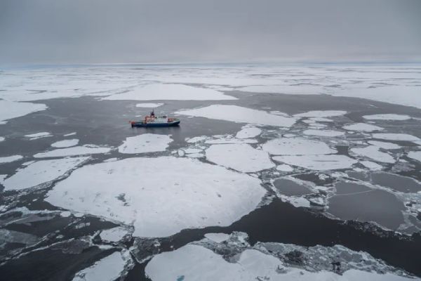 Arctic sea ice