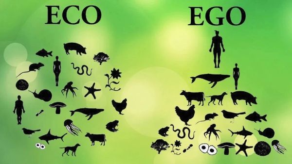 Ego Eco
