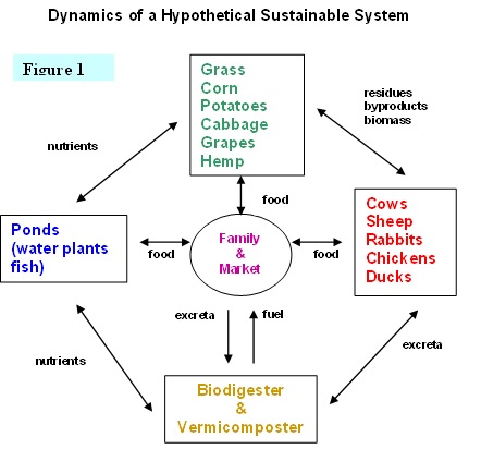 multi element diagram1