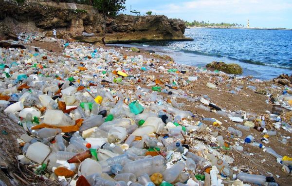 plastic pollution on beach