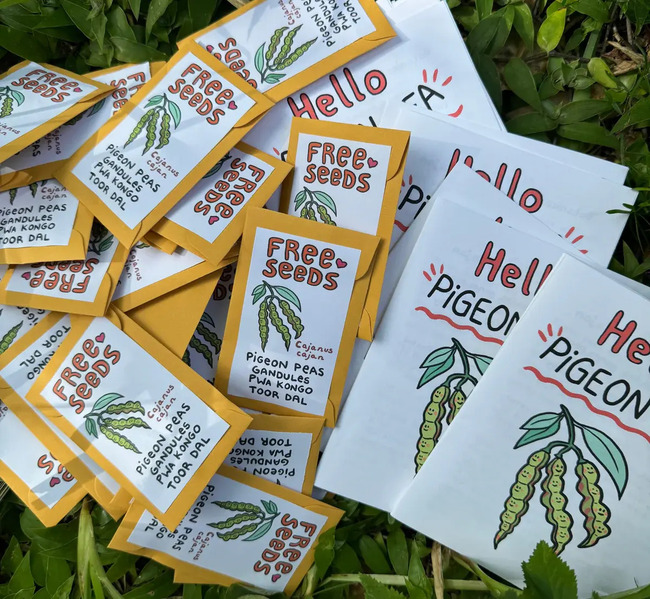 StephanieMcMillan3 SeedPackets