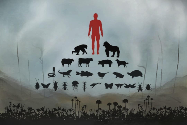 Anthropocentrism hierarchy