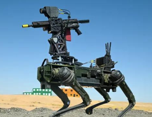 armed robot dog