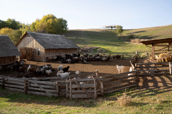 farm in Russia