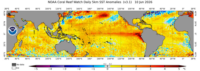 CollapseC NOAA Coral Reef Anomalies 6 10 26 650px