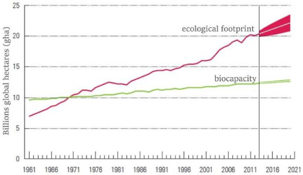 eco footprint 600