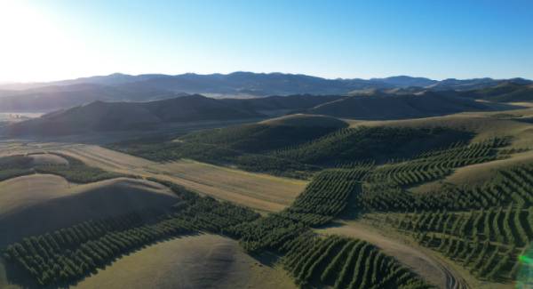 Three-North Shelterbelt Forest Program, China