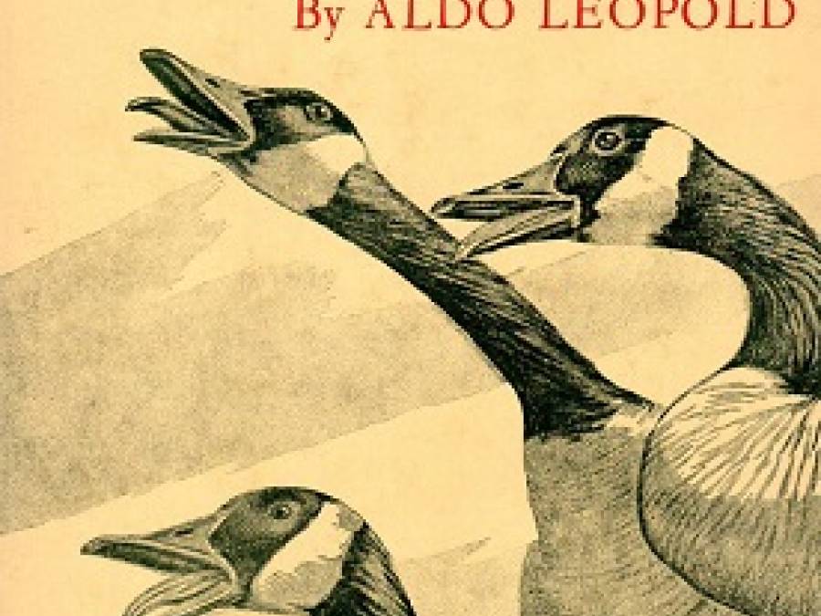 A Sand County Almanac