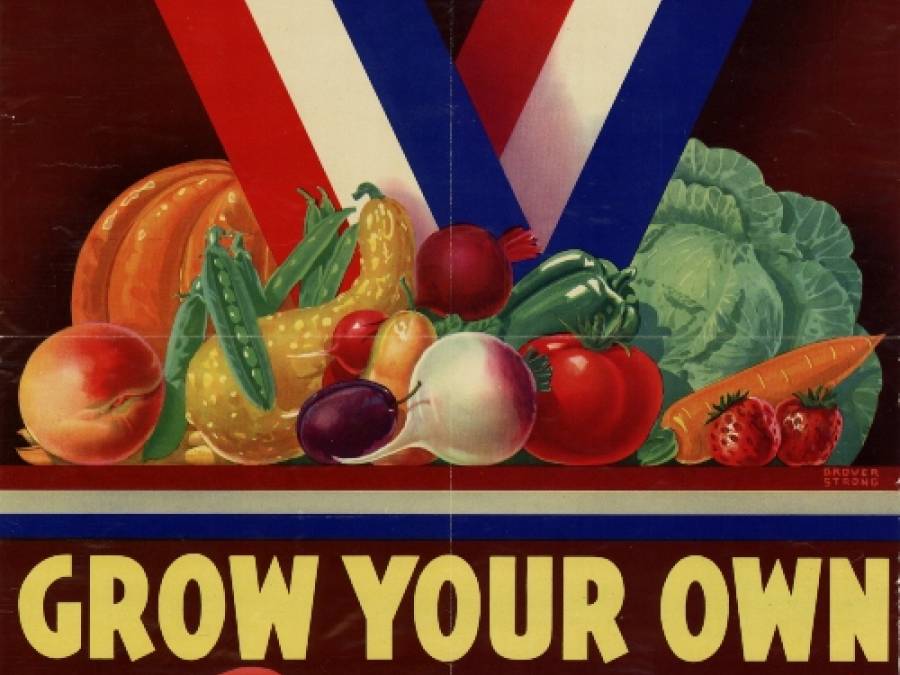Will 'Victory Gardens' Make Comeback As Global Food Crisis Worsens?