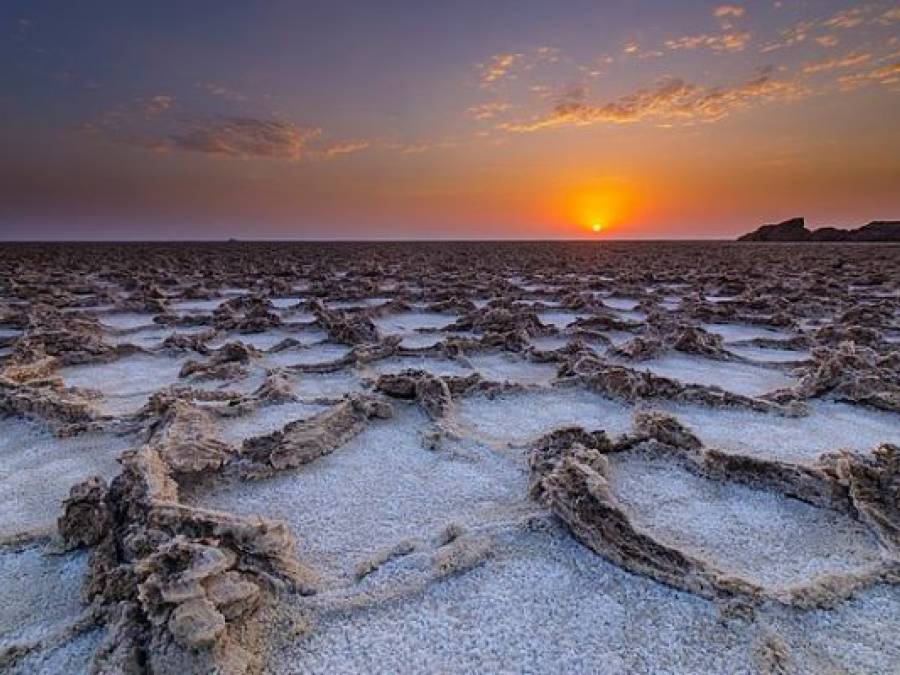 Means of Extinction: Earth is Too Salty