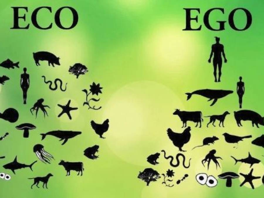 Are Humans Worth More Than Other Organisms?