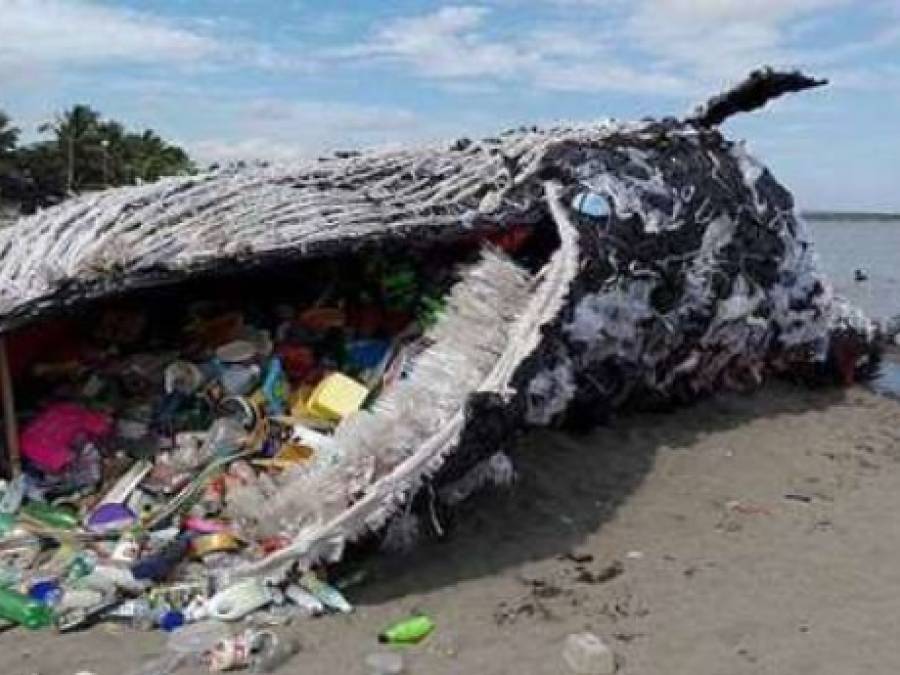 Corporate Greed and National Interests Torpedoed the UN Plastics Treaty
