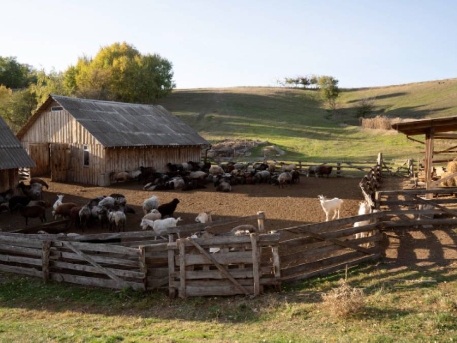 Farm in Russia