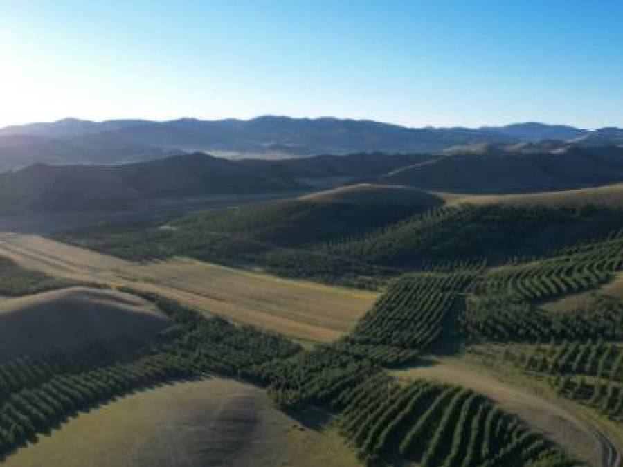   China Sees Fewer Spring Sandstorms Following Decades of Anti-desertification Efforts