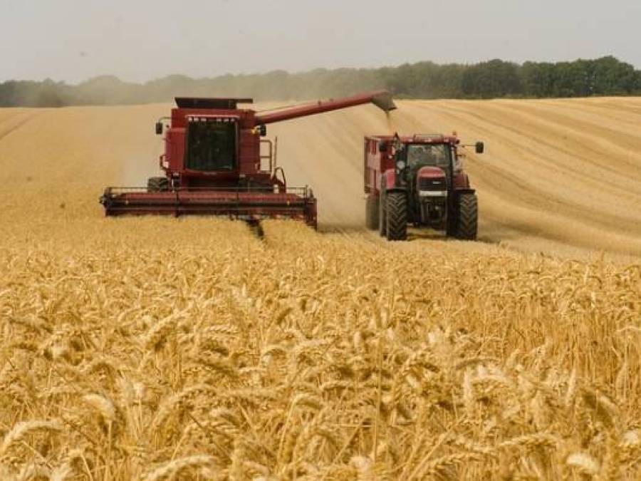 The Global Food Crisis
