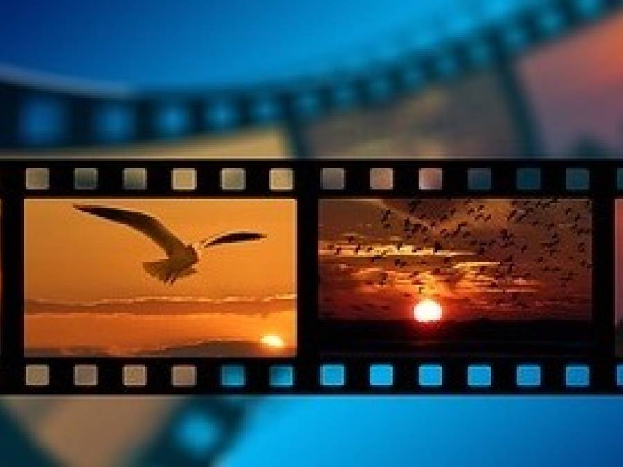Video Categories