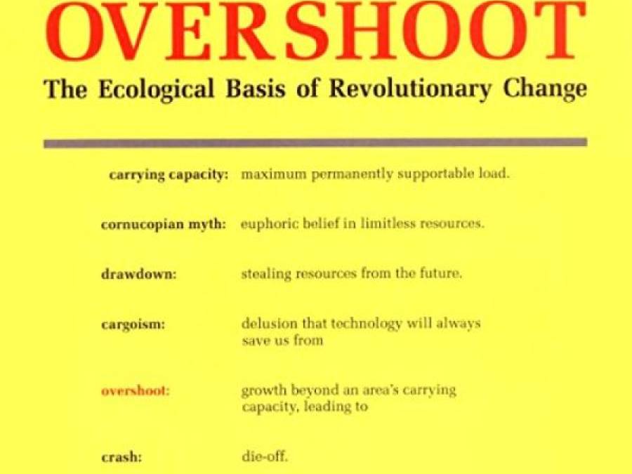 Overshoot